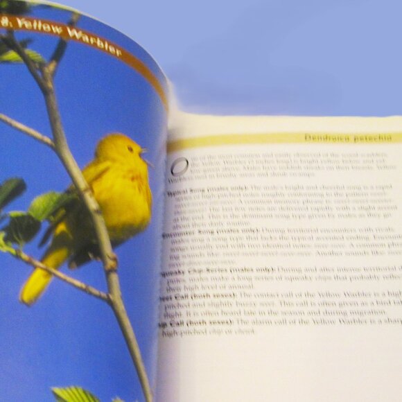 NWOT Know Your Bird Sounds Book Volume 2  Lang Elliott Audio CD Vol 2 - Picture 11 of 14